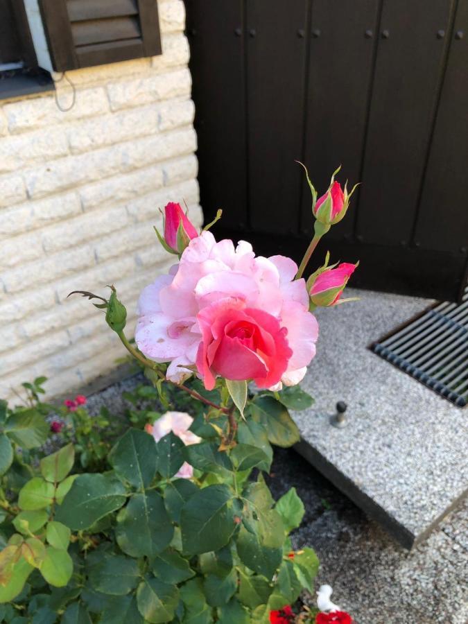 Privat overnatting Anitas Stockholm/vaellingby Stockholm